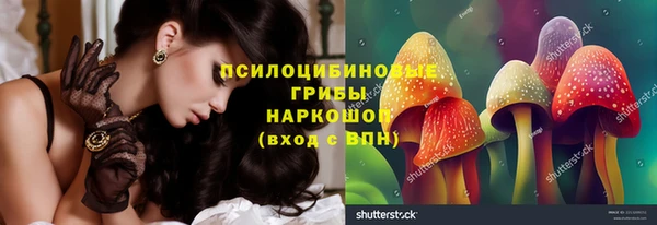 гидра Алексеевка