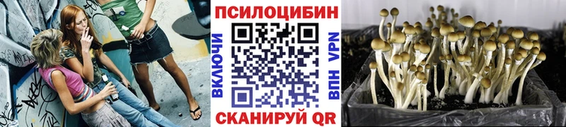 Галлюциногенные грибы мицелий  Орск 